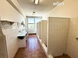 Prodej kanceláře, Tábor, U Cihelny, 1640 m2