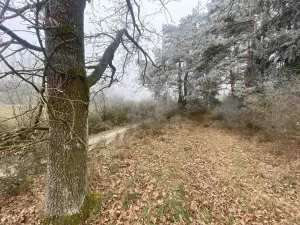 Prodej pole, Slatina, 13059 m2
