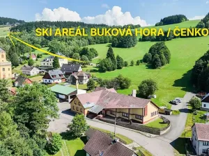 Prodej ubytování, Čenkovice, 1271 m2