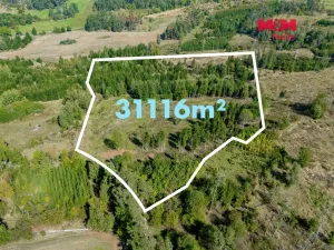 Prodej lesa, Horní Heřmanice, 31116 m2