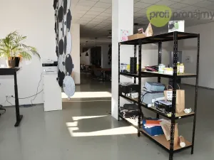 Pronájem obchodního prostoru, Ostrava, Cihelní, 701 m2