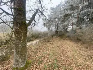 Dražba pole, Slatina, 13059 m2