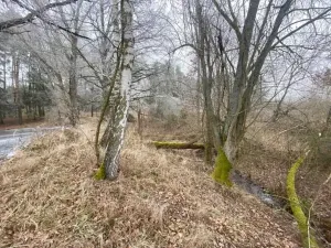 Dražba pole, Slatina, 13059 m2