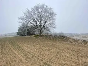 Dražba pole, Slatina, 13059 m2