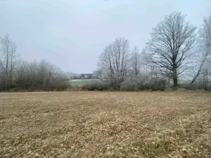 Dražba pole, Slatina, 13059 m2