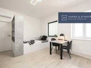 Pronájem bytu 1+kk, Brno, Francouzská, 21 m2