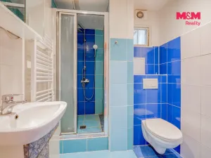 Prodej bytu 2+kk, Plzeň - Východní Předměstí, Guldenerova, 39 m2