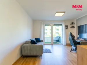 Prodej bytu 1+kk, Prostějov - Čechovice, Na Lukách, 32 m2