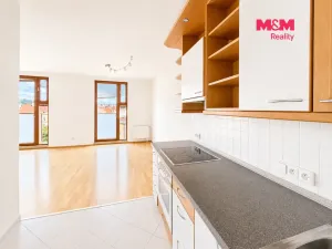Prodej bytu 2+kk, Praha - Nusle, Lumírova, 70 m2