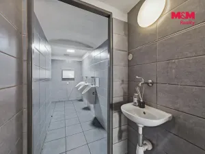 Prodej restaurace, Libina - Dolní Libina, 300 m2