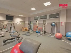 Pronájem obchodního prostoru, Rožnov pod Radhoštěm, Meziříčská, 320 m2