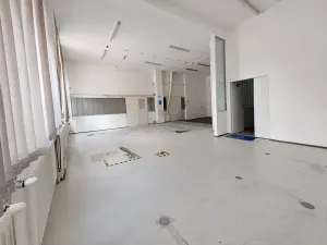 Pronájem skladu, Brno, Šujanovo náměstí, 134 m2