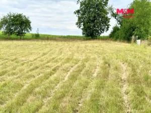Prodej pozemku pro bydlení, Šebířov - Vyšetice, 1181 m2