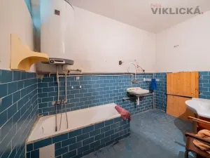 Prodej chaty, Hostouň - Slatina, 700 m2