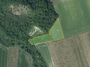 Prodej sadu/vinice, Želkovice, 28919 m2