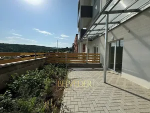 Prodej bytu 2+kk, Teplice, Albrechtova, 73 m2