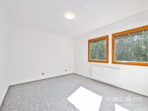 Prodej bytu 3+1, Jindřichův Hradec, 67 m2