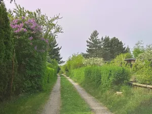 Prodej chaty, Kralupy nad Vltavou, 16 m2