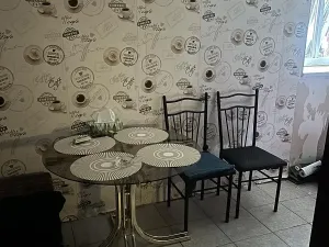 Prodej podílu rodinného domu, Jáchymov, tř. Čs. armády, 150 m2