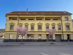 Prodej bytu 1+kk, Brno, Nováčkova, 29 m2