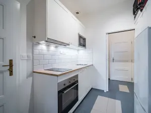Pronájem bytu 1+1, Praha - Vinohrady, Škrétova, 32 m2