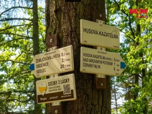 Prodej lesa, Petrovice - Žemličkova Lhota, 7042 m2