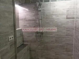 Pronájem bytu 1+1, Ostrava, U Haldy, 40 m2