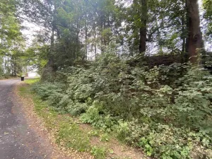 Prodej pozemku, Jindřichovice, 272 m2
