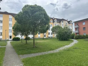 Prodej bytu 2+1, Přeštice, Na Chmelnicích, 54 m2