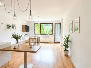 Pronájem bytu 2+kk, Praha - Žižkov, Kališnická, 58 m2