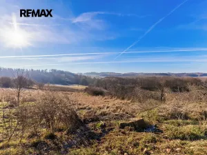 Prodej pozemku pro bydlení, Svojetín, 2831 m2