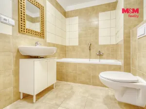 Pronájem bytu 1+kk, Plasy, U Václava, 38 m2