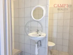 Pronájem bytu 1+1, Františkovy Lázně, Májová, 36 m2