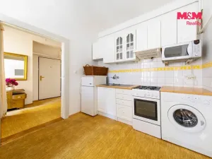 Prodej bytu 1+1, Praha - Žižkov, Biskupcova, 49 m2