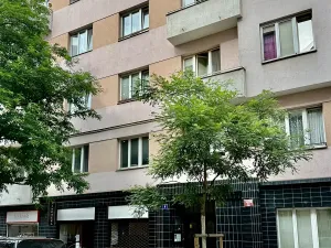 Pronájem bytu 1+1, Praha - Žižkov, Baranova, 56 m2