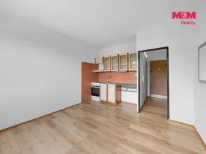 Prodej bytu 1+1, Děčín - Děčín VI-Letná, U Tvrze, 37 m2