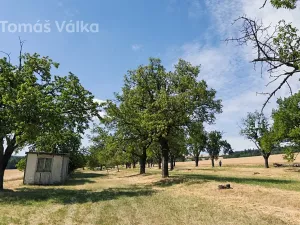 Prodej sadu/vinice, Troubky-Zdislavice, 19632 m2