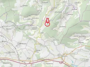 Prodej lesa, Třeboc, 1785 m2
