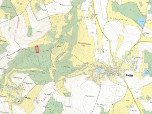 Prodej lesa, Kaliště, 5121 m2