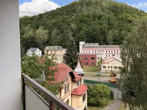 Prodej bytu 2+1, Děčín, Na Pěšině, 50 m2