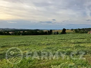 Prodej pole, Cerekvička-Rosice, 71148 m2