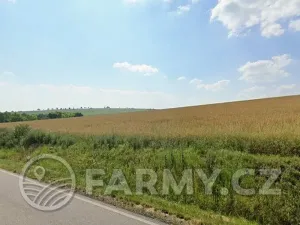 Prodej podílu pole, Čejkovice, 194311 m2
