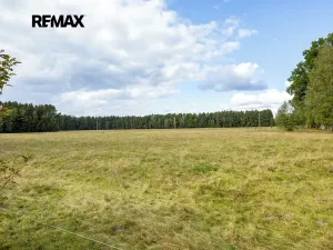 Prodej pozemku pro bydlení, Suchdol nad Lužnicí, 1001 m2