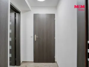 Prodej obchodního prostoru, Plzeň - Východní Předměstí, Ořechová, 26 m2