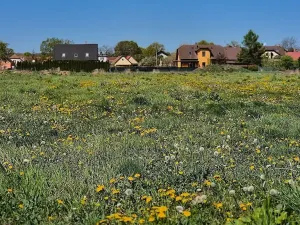 Prodej pozemku pro bydlení, Čejkovice, 900 m2