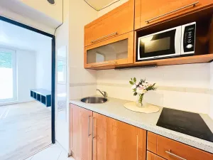Pronájem bytu 1+kk, Brno, Jedovnická, 20 m2