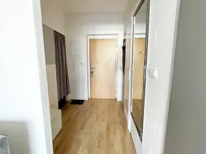 Prodej bytu 1+kk, České Budějovice - České Budějovice 2, Spojovací, 35 m2