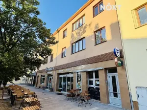 Pronájem bytu 4+1, Vyškov, Sušilova, 104 m2