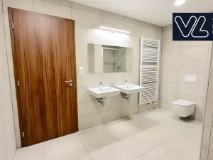 Pronájem bytu 1+1, Brno, Křenová, 72 m2