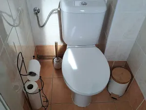 Pronájem bytu 2+kk, Hradec Králové, Škroupova, 50 m2